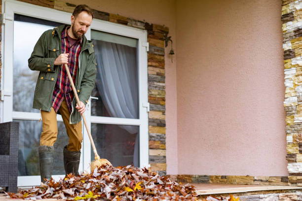 Best Professional Junk Removal  in Brownville, NJ